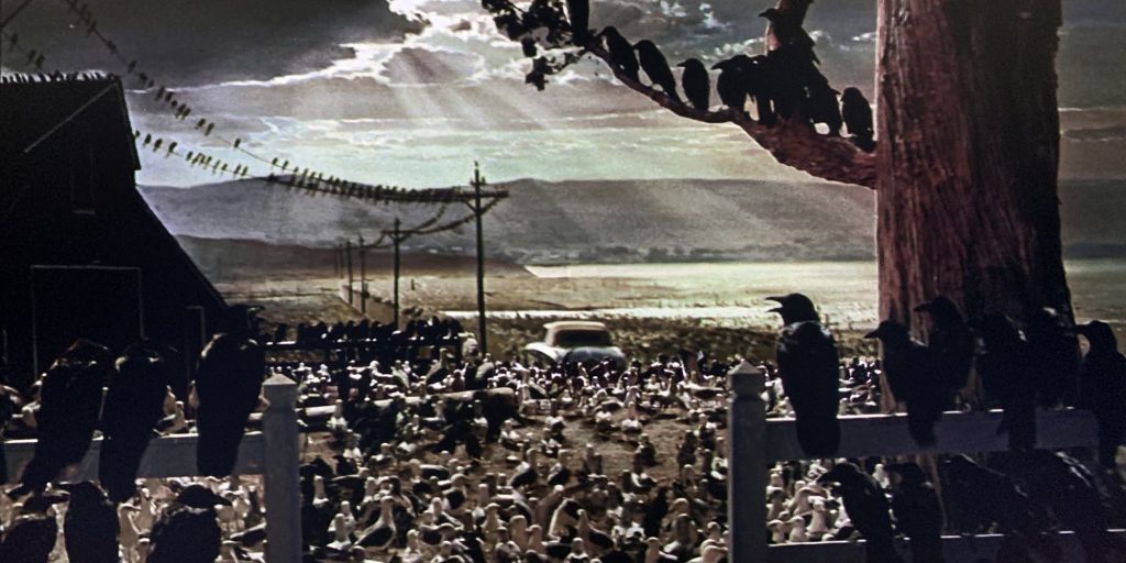 Final explicado de Los pájaros (1963): ¿Por qué atacan y qué significa el desenlace?