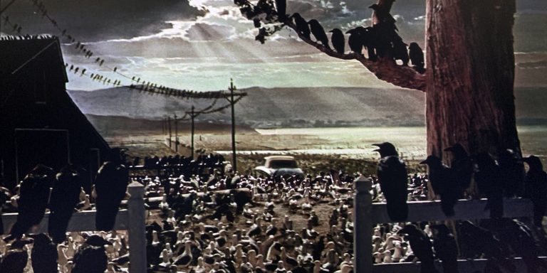 Final explicado de Los pájaros (1963): ¿Por qué atacan y qué significa el desenlace?