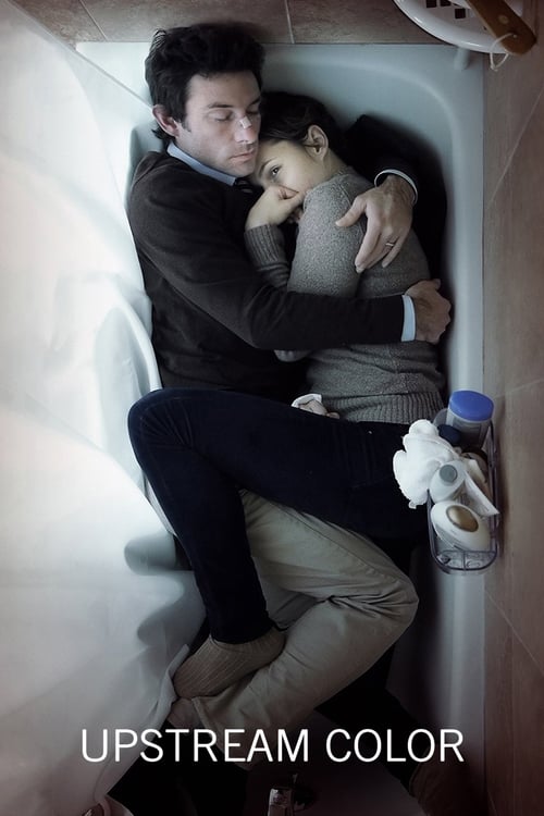 Final explicado de Upstream Color: significado y análisis detallado